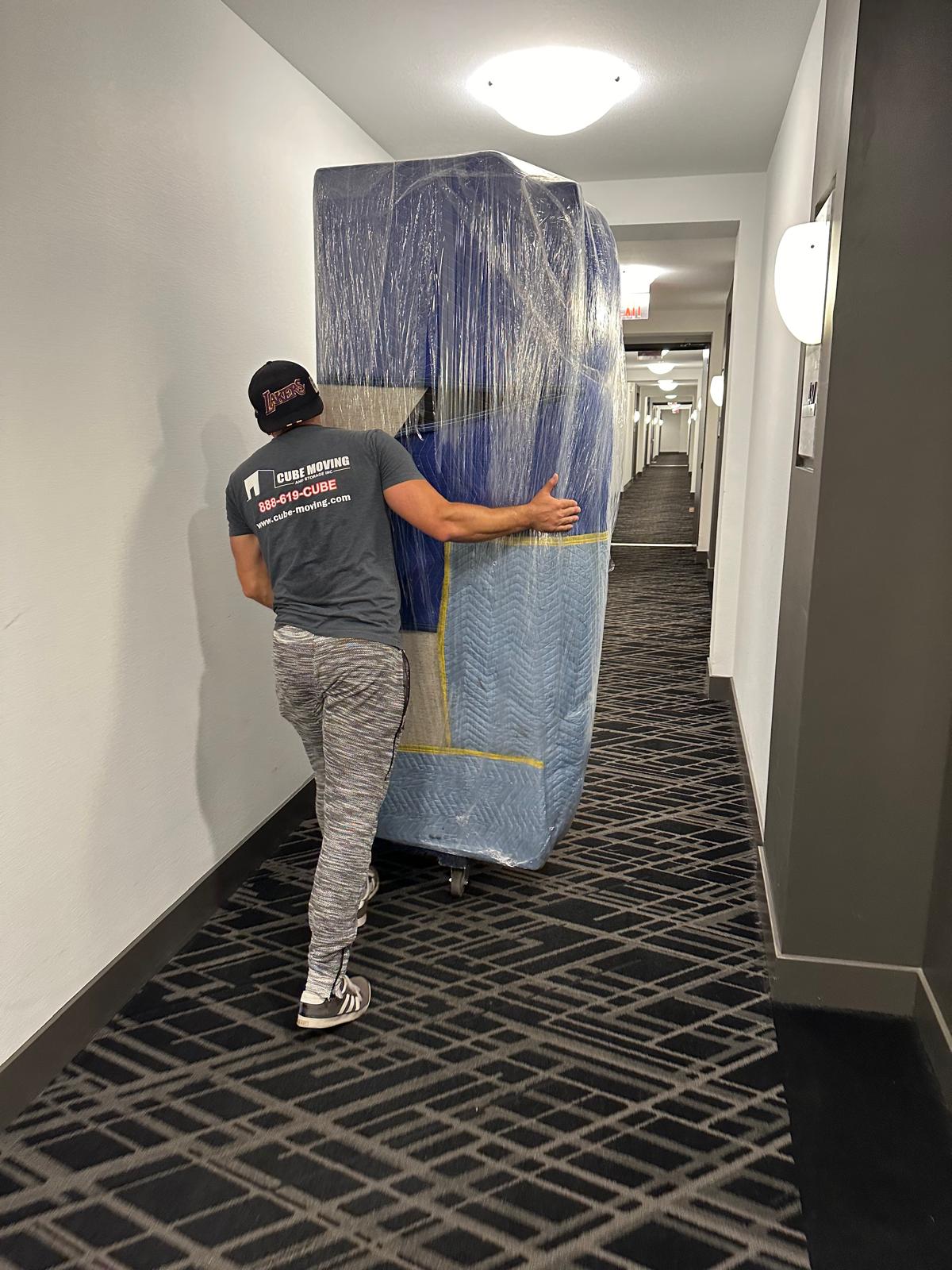 info@softappi.com info@softappi.com